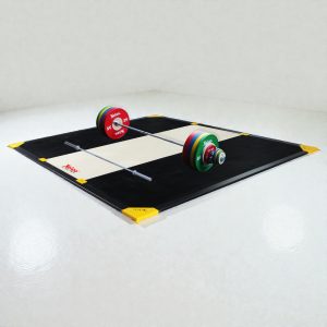 Birchwood Training Platform (IWF Certified)